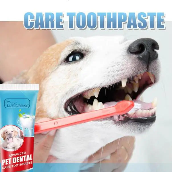 Edible Pet Toothpaste