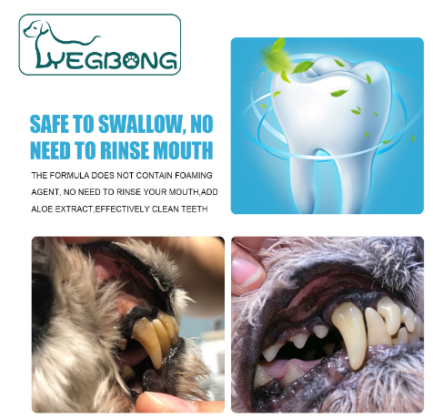 Edible Pet Toothpaste